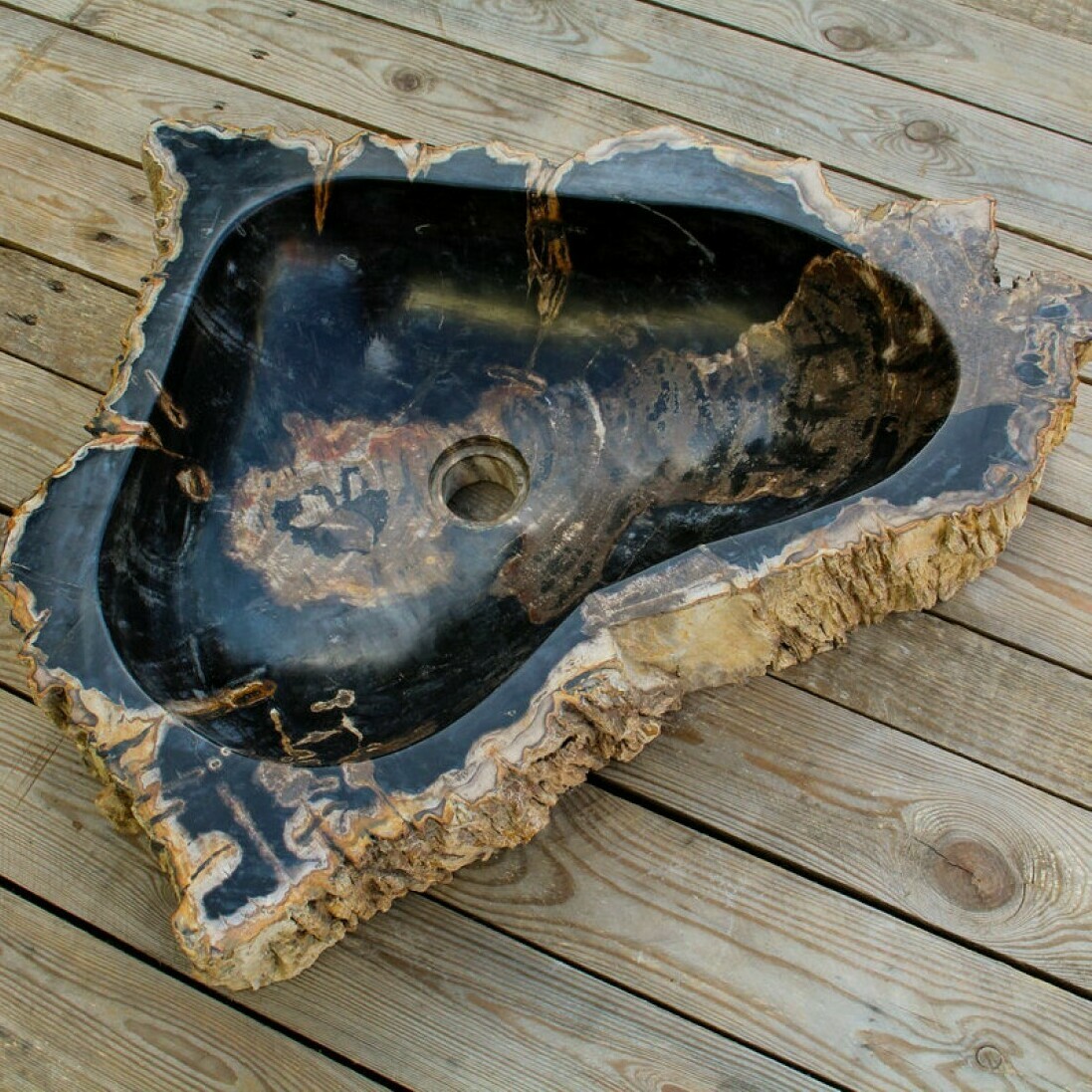 Раковина из окаменелого дерева Uluwatu